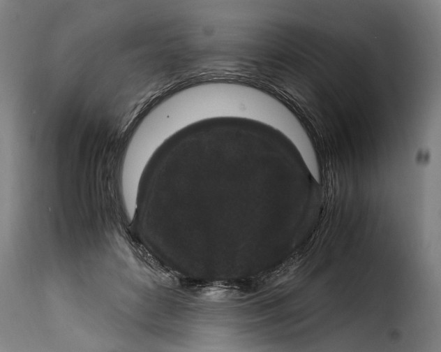 X0000115280504200911201755