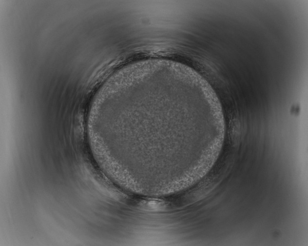 X0000115280506200911201755