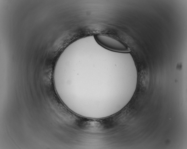 X0000115280509200911201755