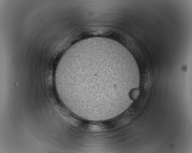 X0000115280510200911201755