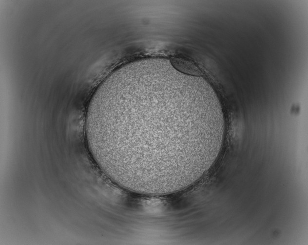 X0000115280513200911201755