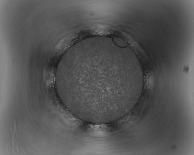 X0000115280517200911201755