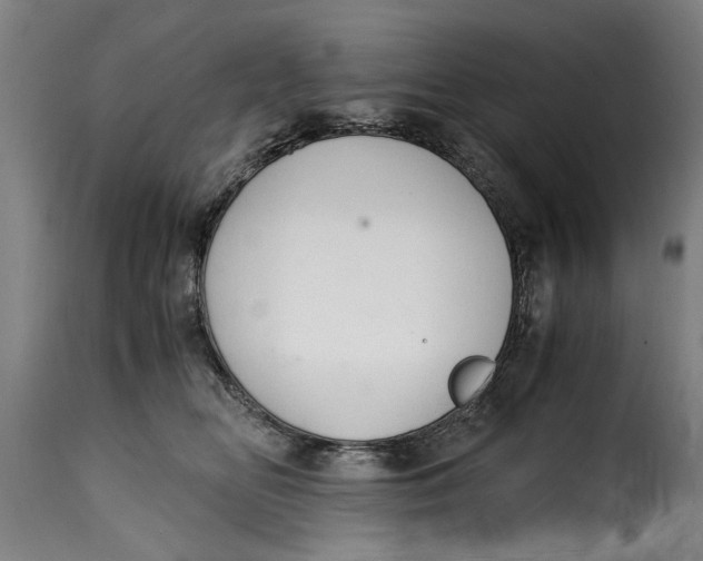 X0000115280518200911201755