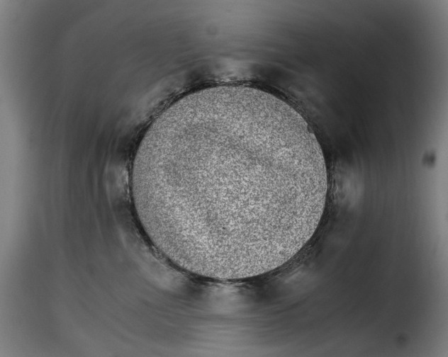 X0000115280523200911201755