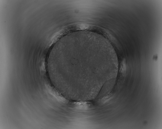 X0000115280524200911201755