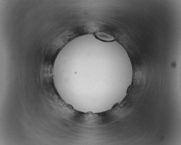 X0000115280525200911201755