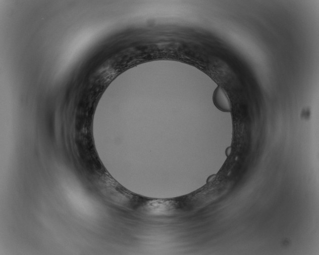 X0000115280526200911201755