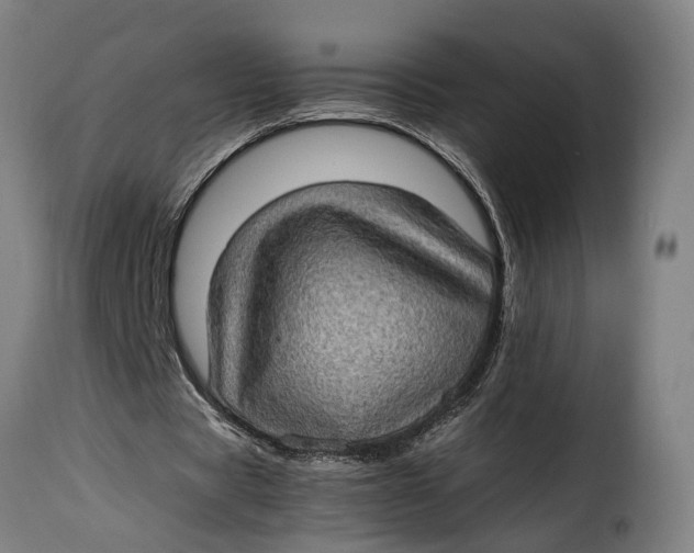 X0000115280529200911201754