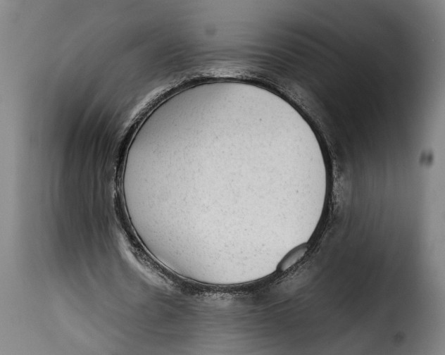 X0000115280530200911201754