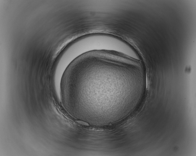 X0000115280531200911201754