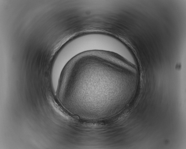 X0000115280533200911201754