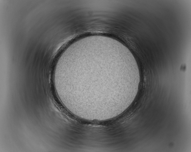 X0000115280539200911201754