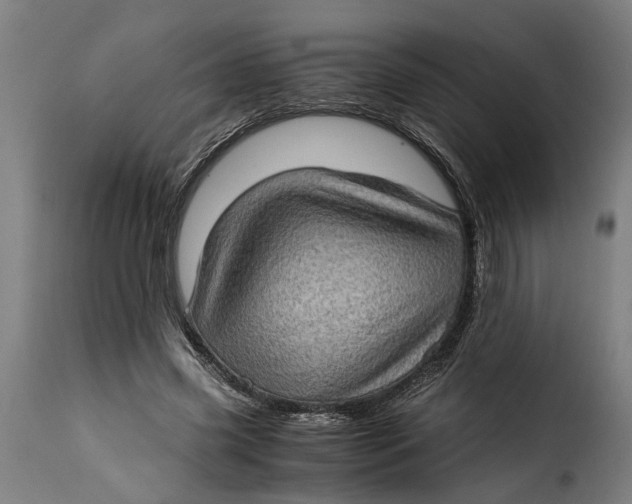 X0000115280541200911201754