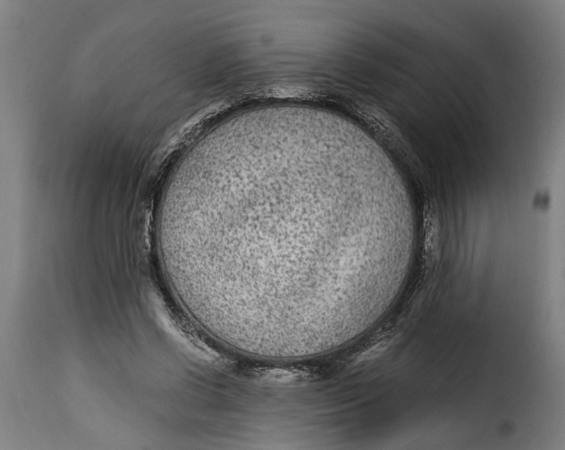 X0000115280542200911201754