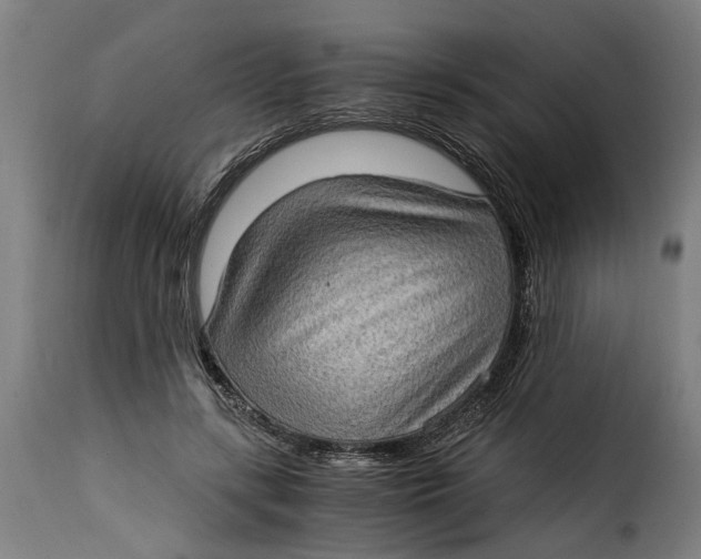 X0000115280547200911201754