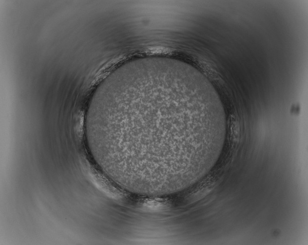 X0000115280550200911201754