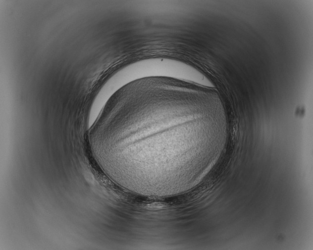 X0000115280551200911201754