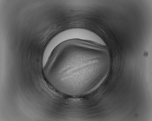 X0000115280553200911201754