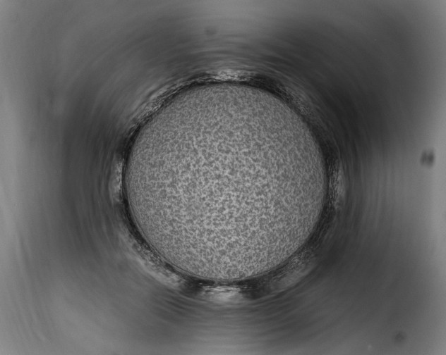 X0000115280554200911201754