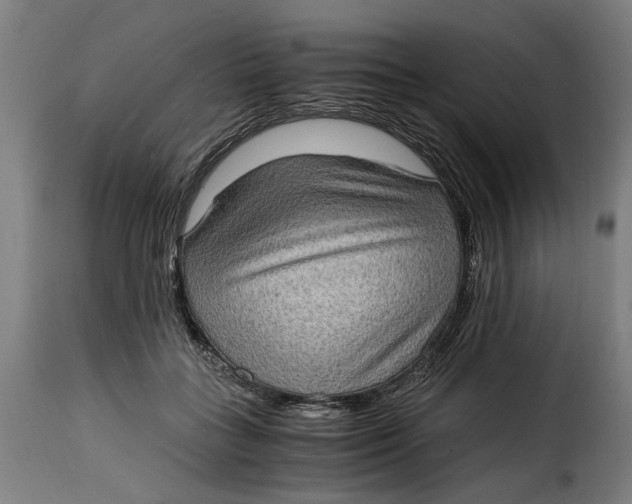 X0000115280555200911201754