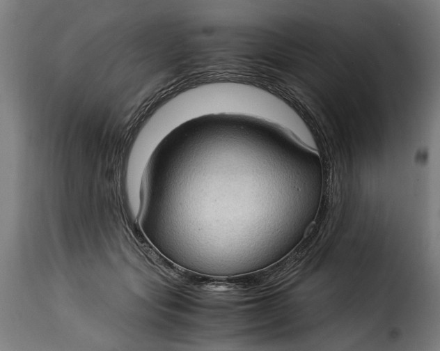 X0000115280557200911201754