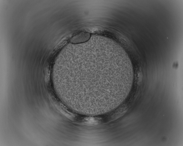 X0000115280558200911201754