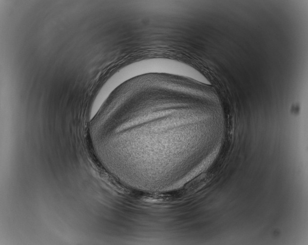 X0000115280563200911201754