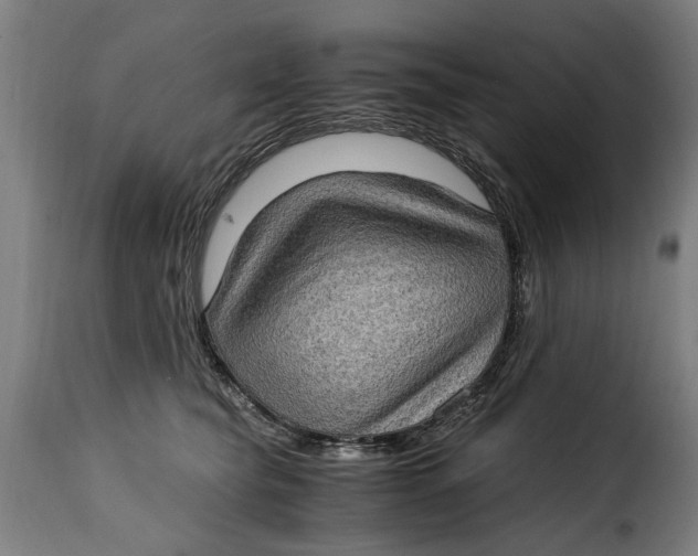 X0000115280565200911201754