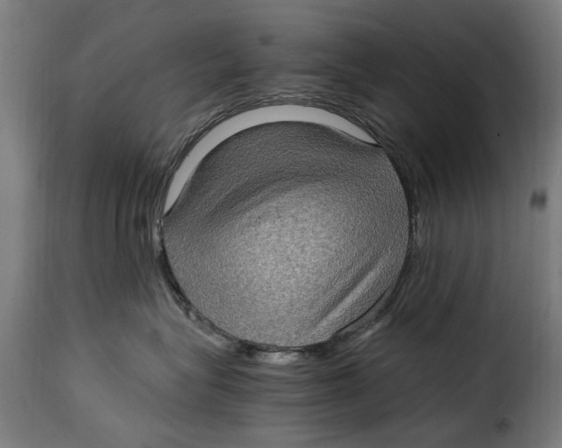 X0000115280575200911201755