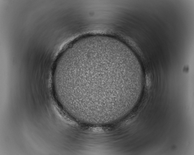 X0000115280588200911201754