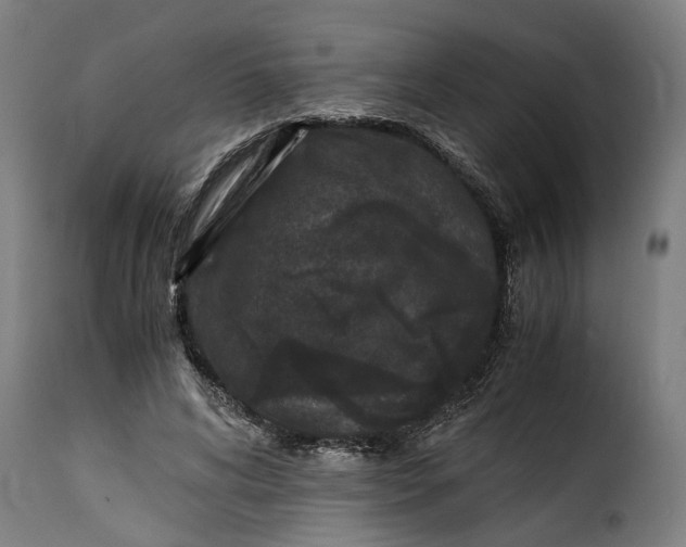 X0000115280592200911201753