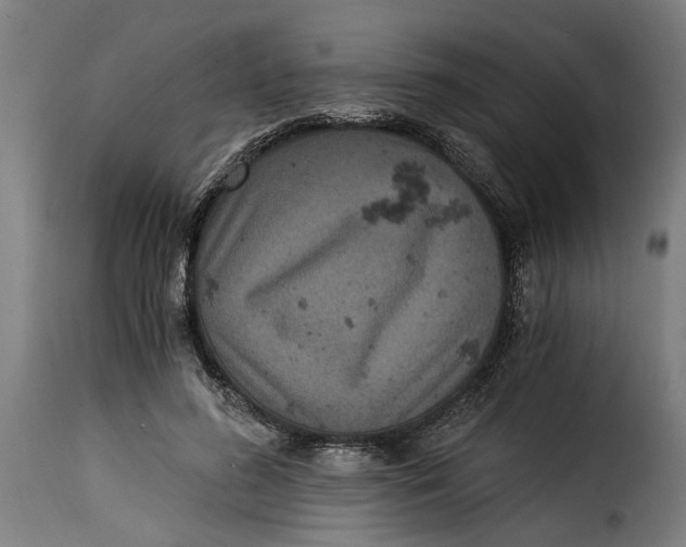 X0000115280596200911201753