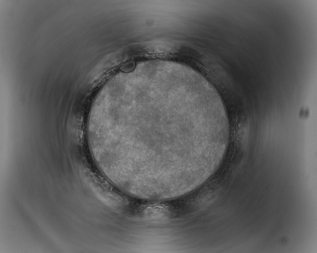 X0000115280599200911201753