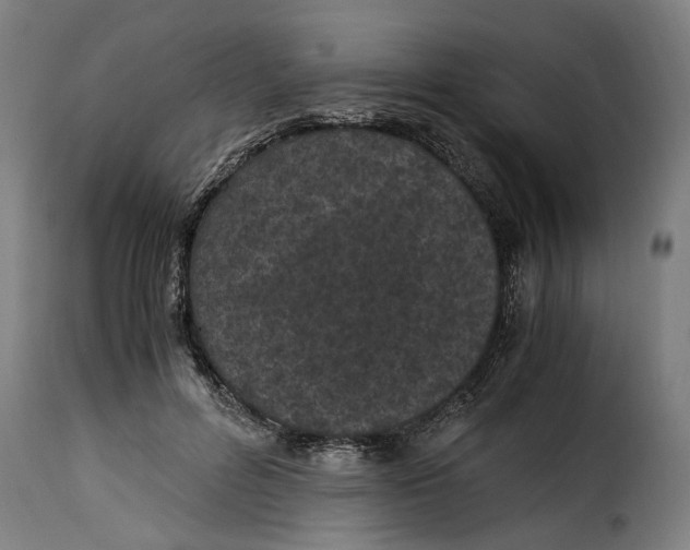 X0000115280600200911201753