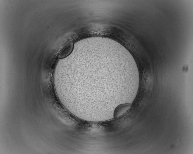 X0000115280601200911201753