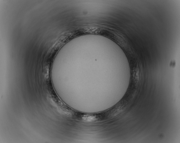 X0000115280602200911201753