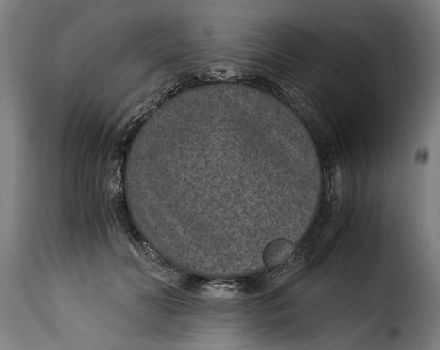 X0000115280606200911201753