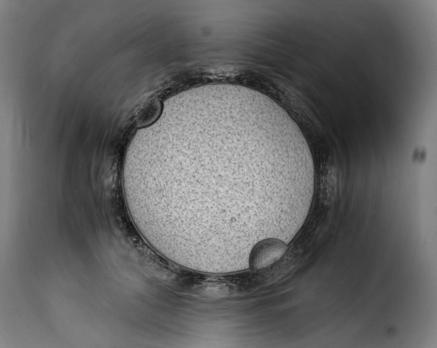 X0000115280608200911201753