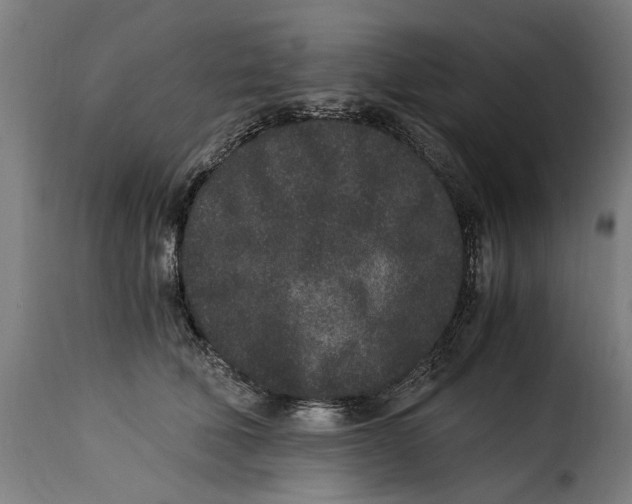 X0000115280610200911201753