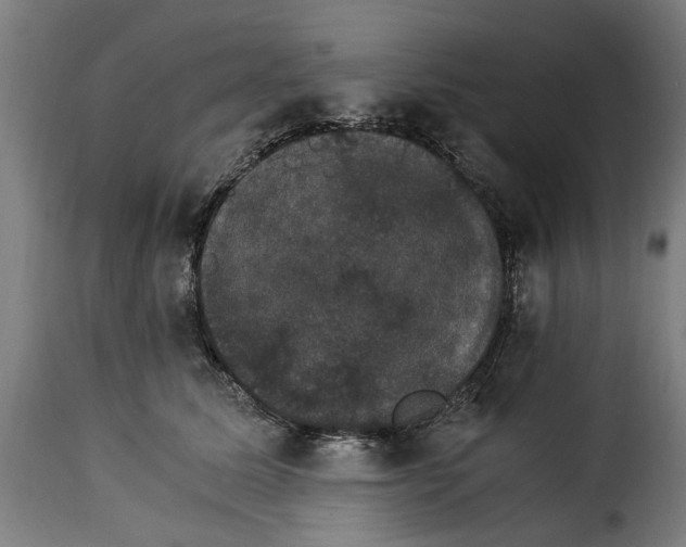 X0000115280611200911201753