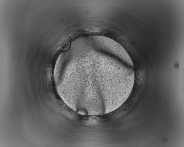 X0000115280612200911201753