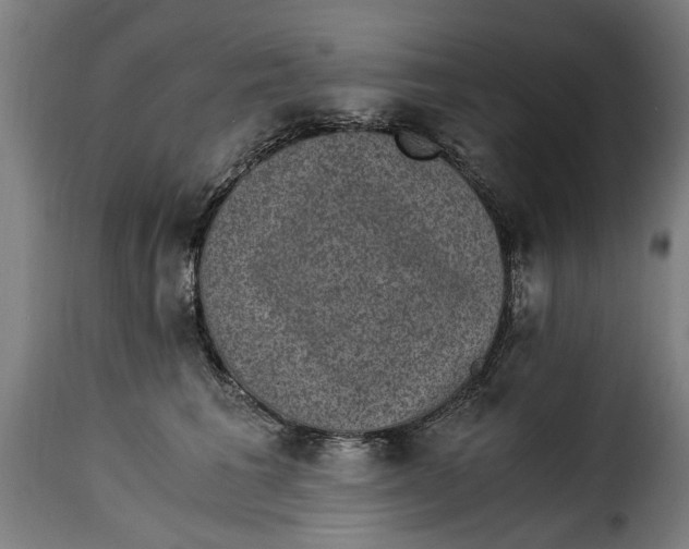 X0000115280613200911201753