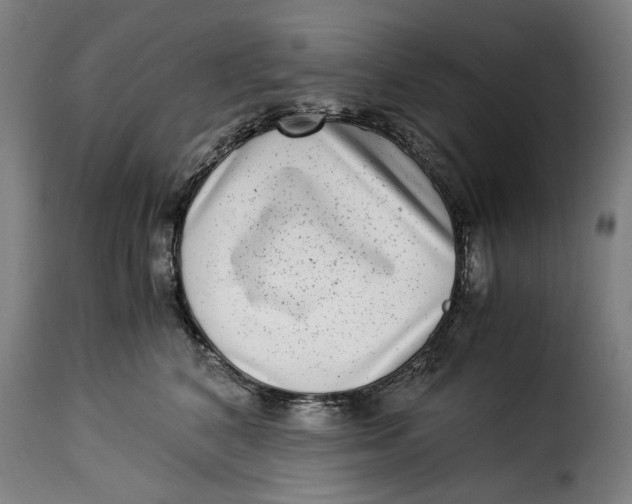 X0000115280616200911201753