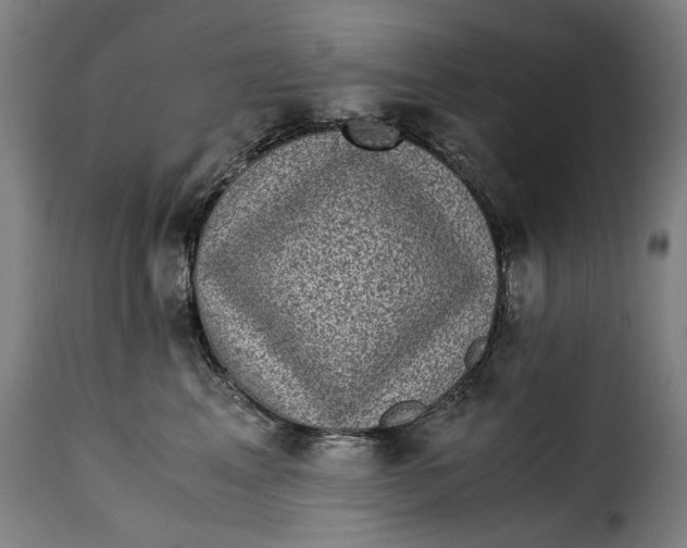 X0000115280617200911201753