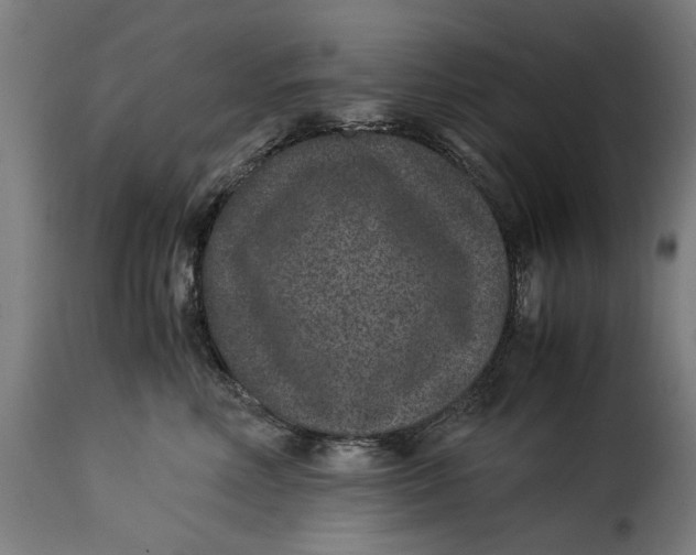 X0000115280618200911201753