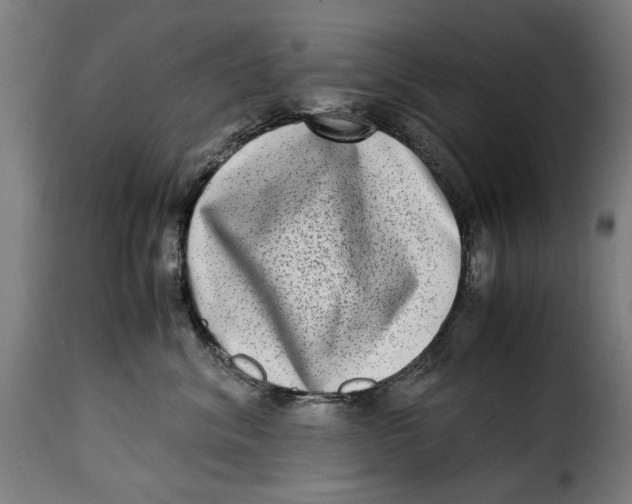 X0000115280620200911201753