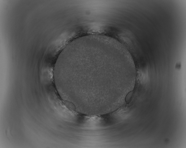 X0000115280621200911201753