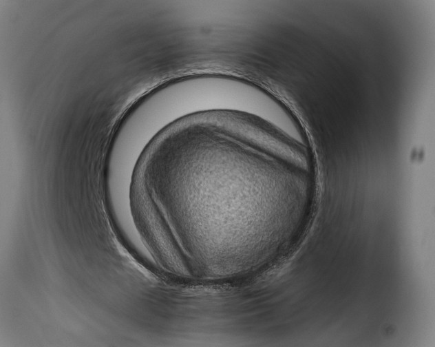 X0000115280625200911201752