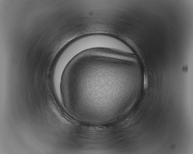 X0000115280627200911201752