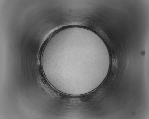 X0000115280628200911201752